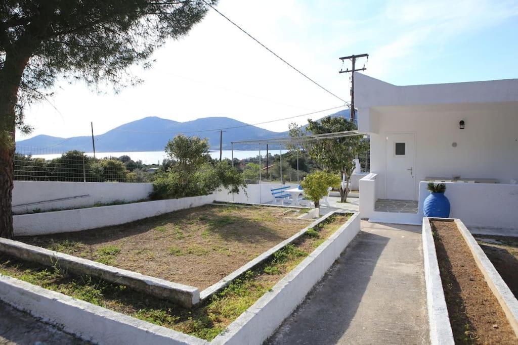 White Villa In Olive Trees And Seaview To Panagia Almiropótamos 外观 照片